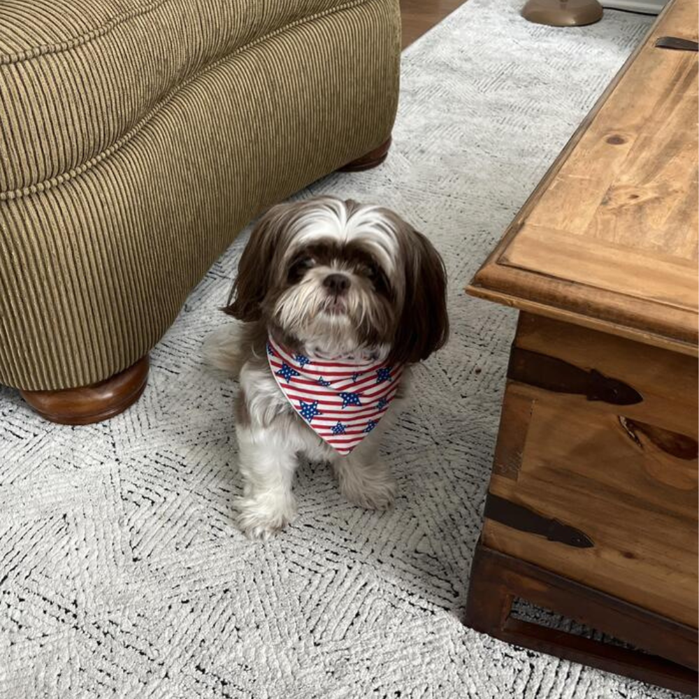 4th of July Stars and Stripes Dog Bandana