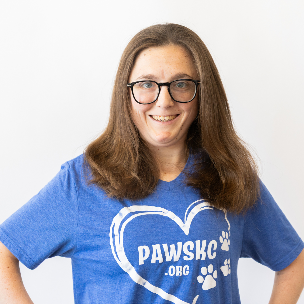 Blue PawsKC Heart V-neck