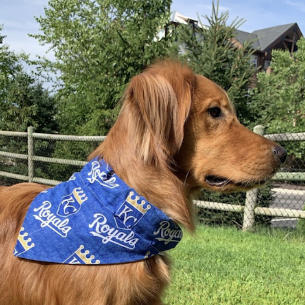 Dark Blue Kansas City Royals Dog Bandana