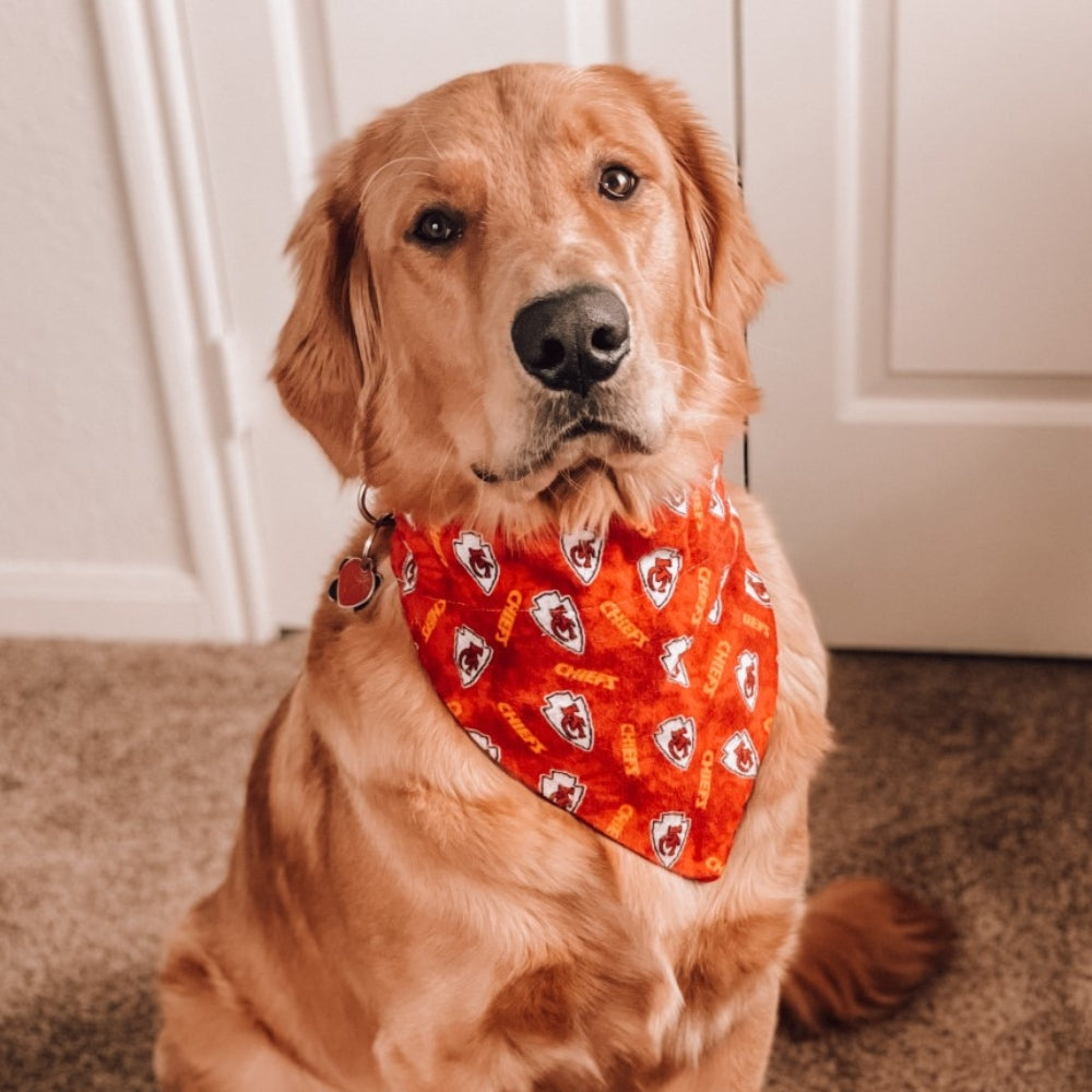 Kansas City Chiefs Flannel Dog Bandana
