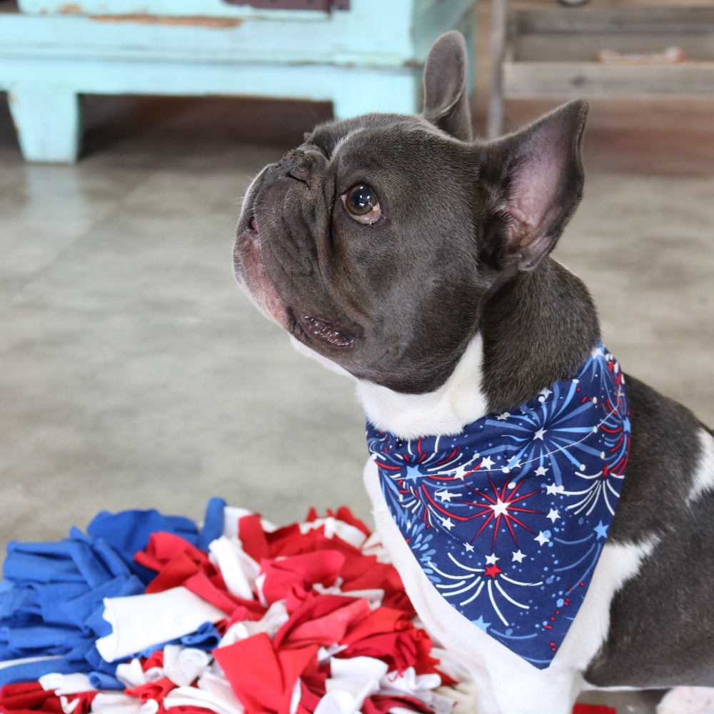 4th of July Firework Dog Bandana