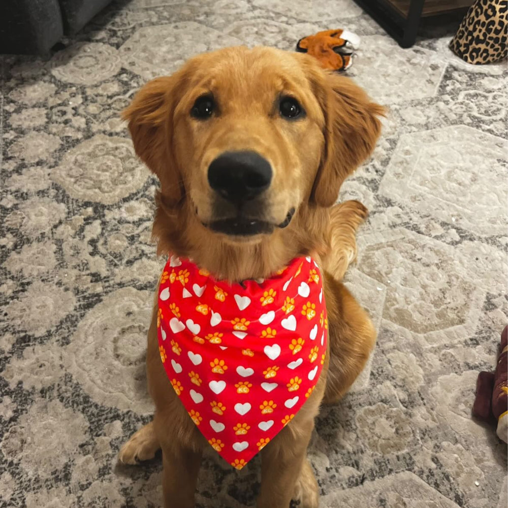 Red KC Heart Dog Bandana