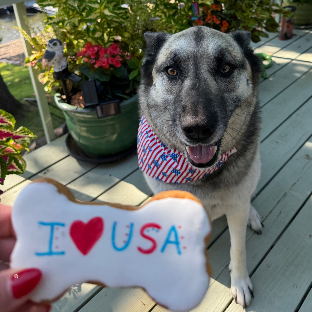 4th of July Stars and Stripes Dog Bandana