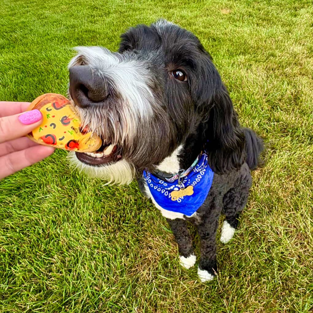 Pizza Dog Cookies