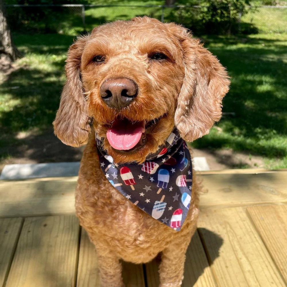 4th of July Popsicles Dog Bandana