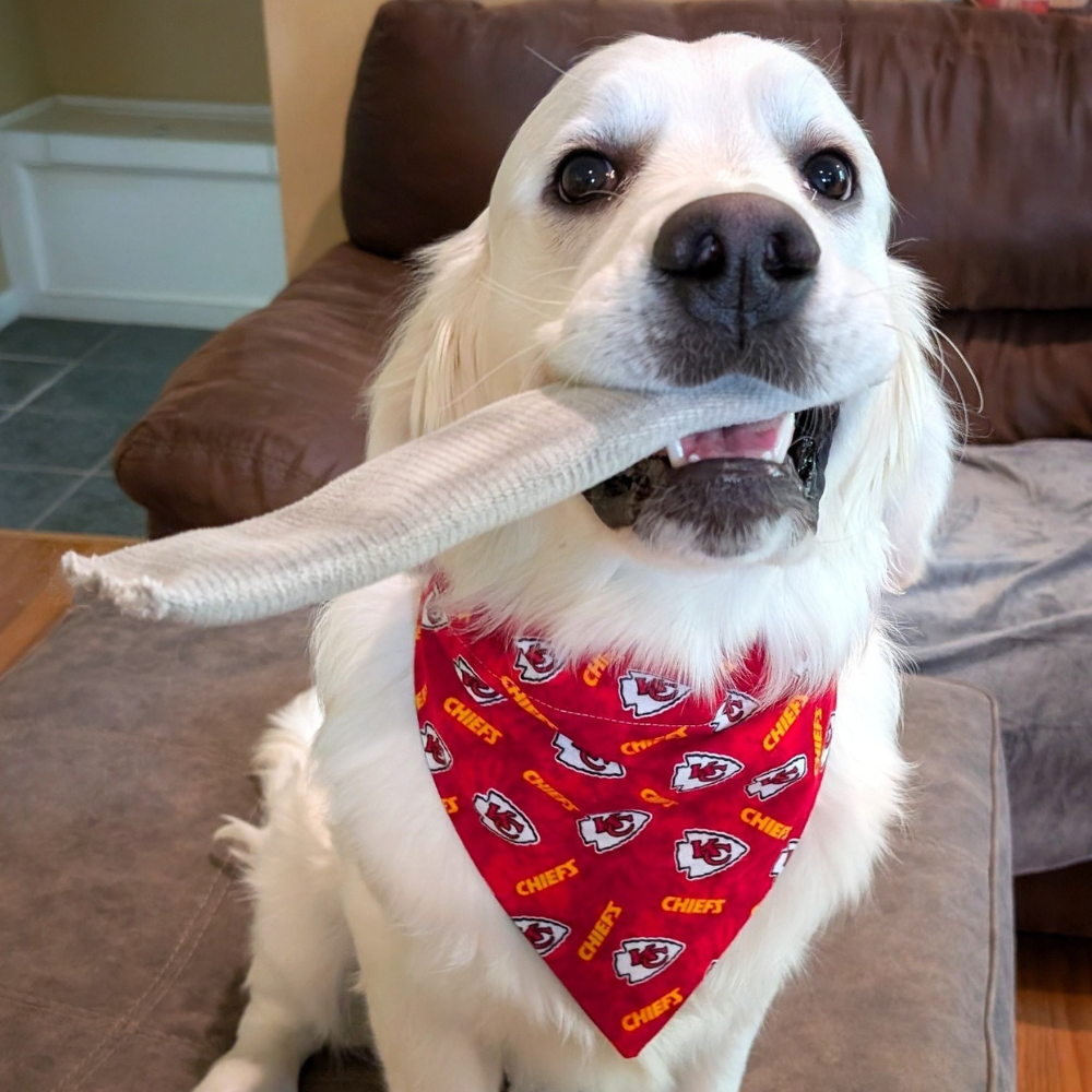 Kansas City Chiefs Flannel Dog Bandana