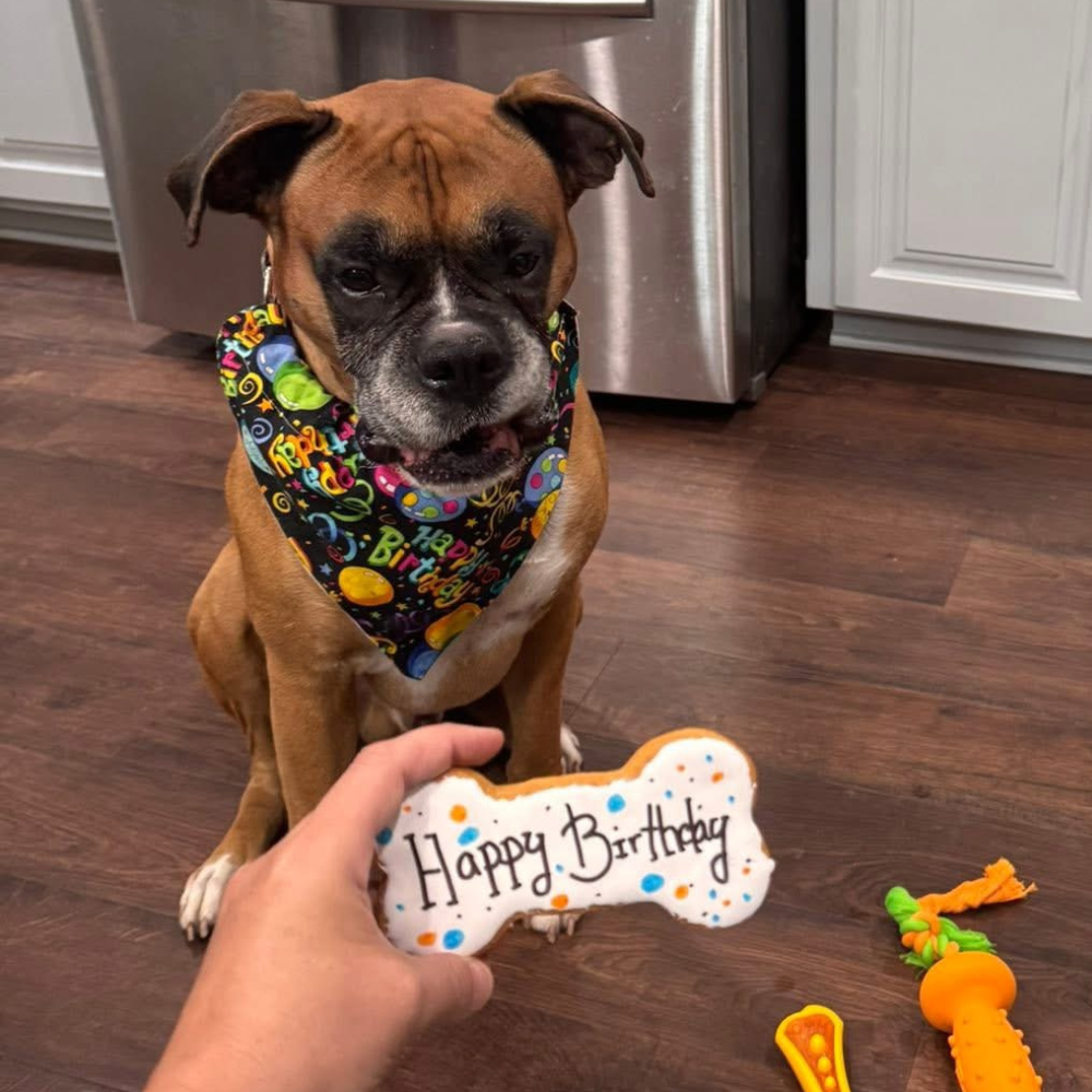 Happy Birthday Dog Bandana