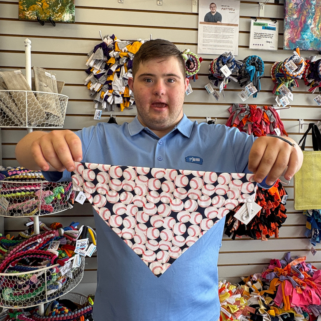 Baseballs Dog Bandana