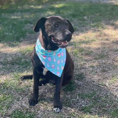 Easter Egg Dog Bandana