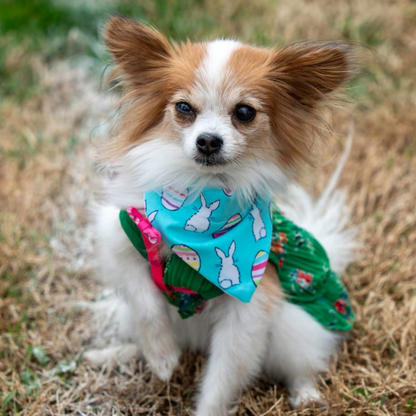Easter Egg Dog Bandana