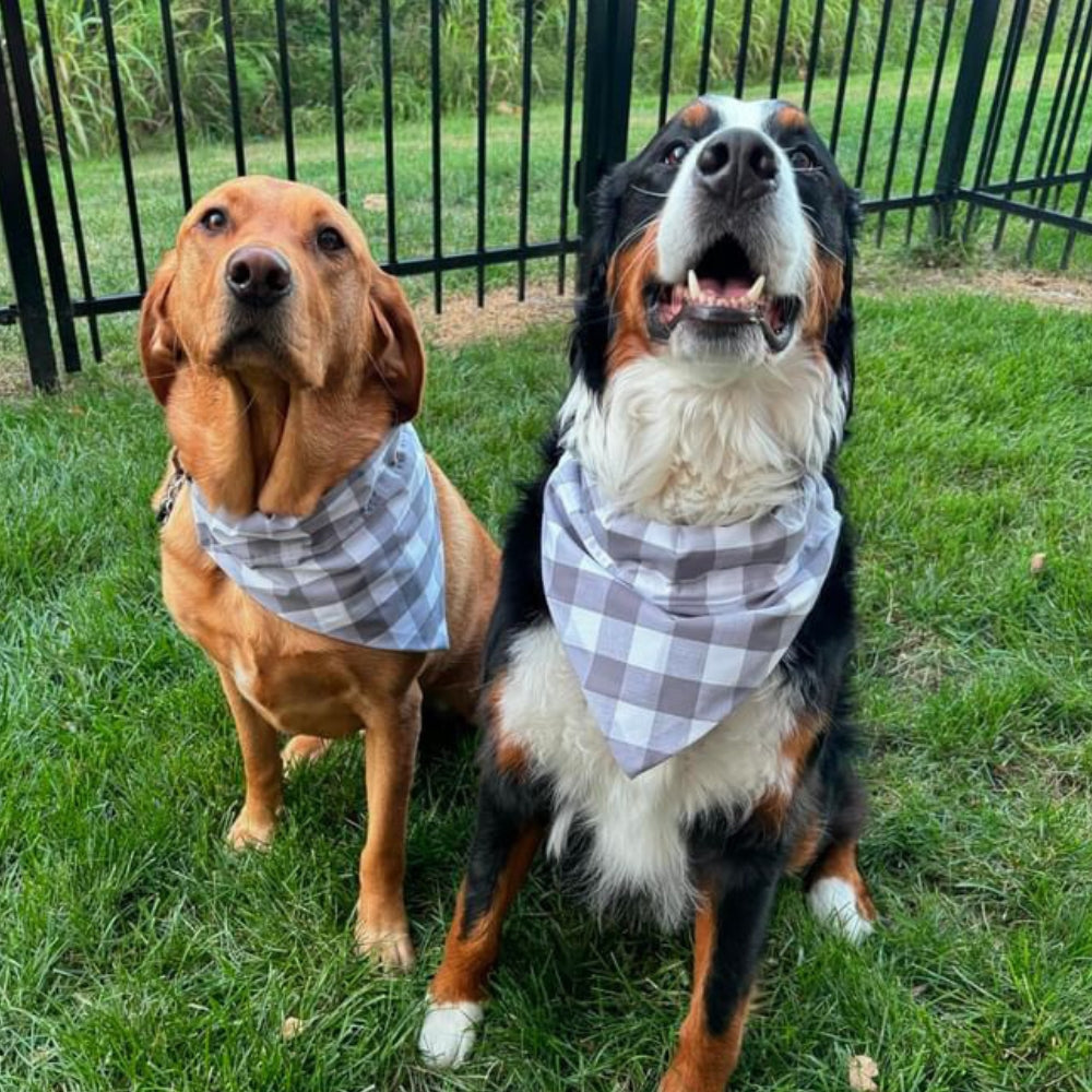 Gray and White Buffalo Plaid Dog Bandana