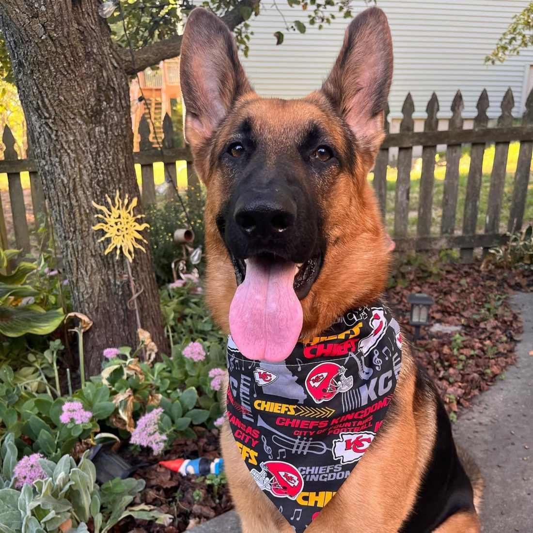 Black Kansas City Chiefs Hometown Dog Bandana