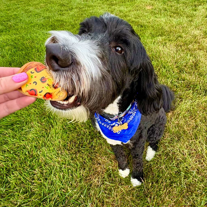 Pizza Dog Cookies