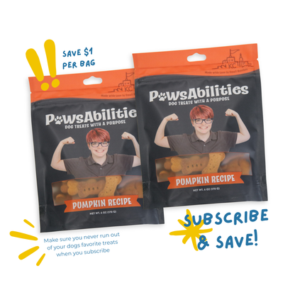 Pumpkin Dog Treat