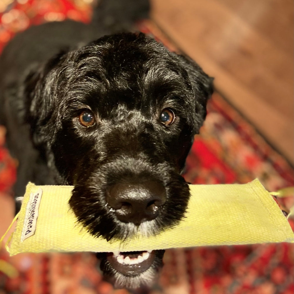 Fire Hose Squeaker Dog Toy