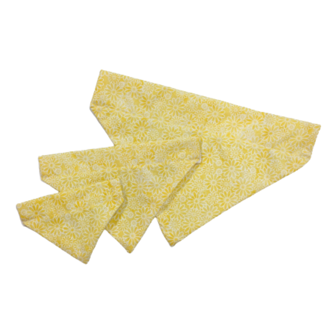 Sundrenched Daisy Dog Bandana