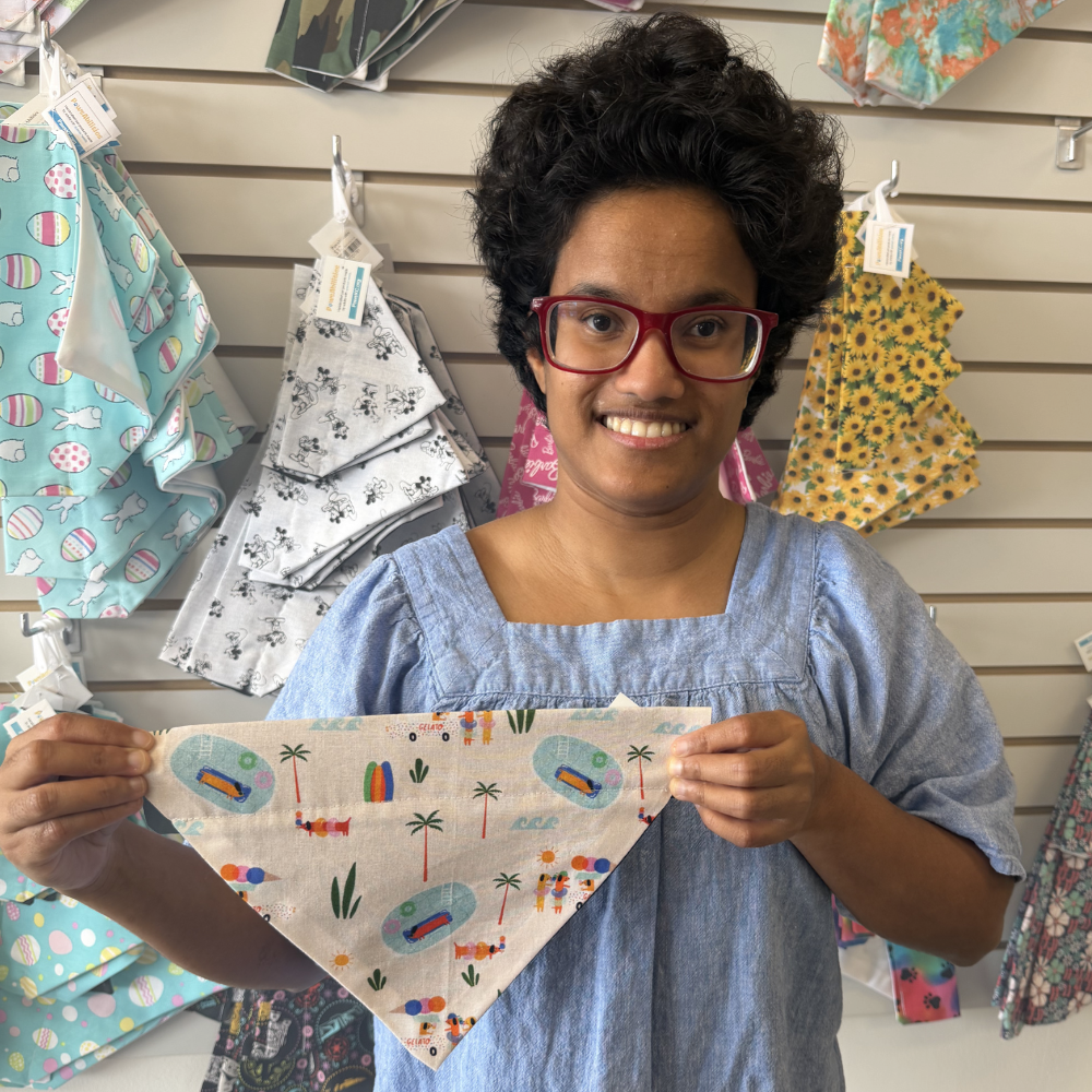 Dog Summer Fun Dog Bandana