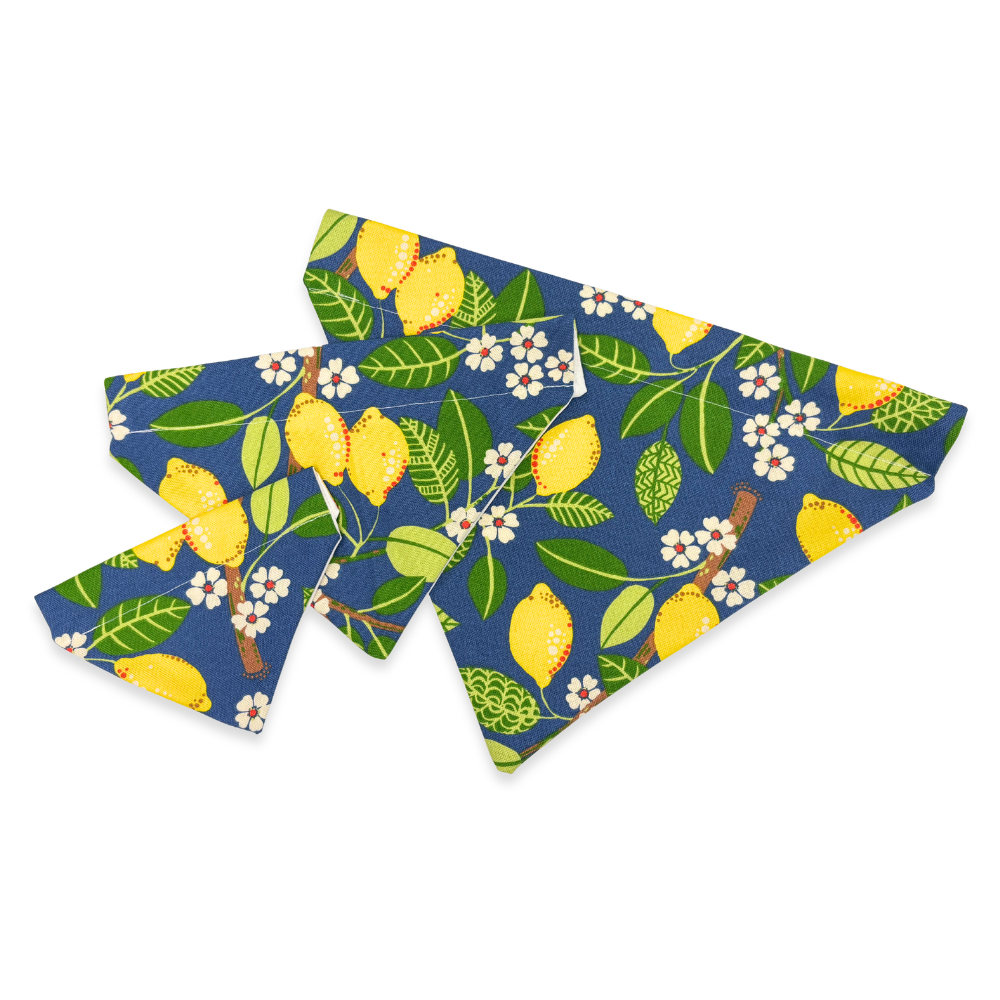 Indigo Lemon Dog Bandana