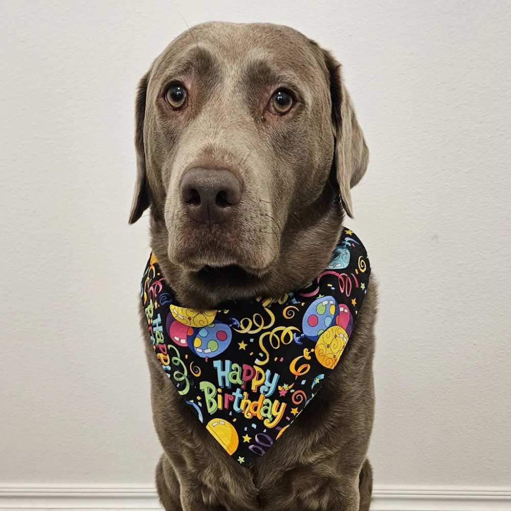 Happy Birthday Dog Bandana